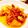 クック9FROKT☆'s cooksnap of when they made すじ大根.