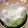 ささまりっぺ's cooksnap of when they made 割り梅の甘味づけ　カリカリ梅♪.