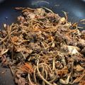 MAYUわんこ's cooksnap of when they made 肉ごぼうきんぴら.