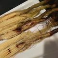 とろけい's cooksnap of when they made トースターで簡単 旬の皮付きヤングコーン.
