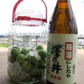 mimo_pan's cooksnap of when they made ご用心！でも日本酒で美味い梅酒つくろう！.