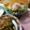 クックS3JNN2☆'s cooksnap of when they made ♡牛肉とたっぷり野菜のプルコギ風煮込み♡.