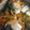 クックO3NDOY☆'s cooksnap of when they made 鯖の南蛮漬け.