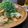 ちい41128's cooksnap of when they made 簡単なおつまみ♪ガーリックシュリンプ.