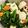 さこあ's cooksnap of when they made ちくわ豆腐ほうれん草サラダ.