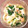 chobharu's cooksnap of when they made チンゲンサイの海鮮炒め.