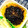 nosso's cooksnap of when they made 【魔界のご馳走】黒いきんぴら.