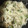 まゆのふ♬'s cooksnap of when they made 和風だしで簡単＊しめじと枝豆のおこわ.