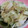 nanahouse1's cooksnap of when they made きゃべつとみょうがのごま和え♪.