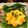 ぷりん✲まろん's cooksnap of when they made カップも食べれるハムカップのキッシュ風.