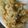 ぷくりる's cooksnap of when they made 旨味たっぷり♪あさりご飯.