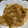 クックSZK7XI☆'s cooksnap of when they made エビ殻の唐揚げ.
