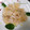 momocookin's cooksnap of when they made 激旨！激簡単！帆立のカルパッチョ！.