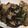 ぷきゅ丸's cooksnap of when they made 豚バラ肉とレタスの黒胡椒だし醤油炒め.