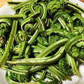 あむあむろ's cooksnap of when they made 【野菜ソムリエ】こごみの下処理.