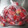 500k's cooksnap of when they made いちごの保存.