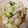 ナナッコ☆724's cooksnap of when they made ゆで白菜とハムのさっぱりサラダ.