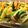 ウマナミ's cooksnap of when they made たらの中華風野菜あんかけ.