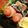 saalalan's cooksnap of when they made ✪ウインナーのベーコン巻き✪.