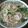 ももさくママ★'s cooksnap of when they made お鍋一つで簡単♪フォー風にゅうめん.