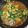 へちまもこ's cooksnap of when they made あんかけニラ玉.
