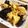 ちびます's cooksnap of when they made 女子にうれしい美容食キクラゲと卵の炒め物.