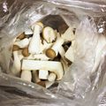 こずっぴ's cooksnap of when they made 保存用　冷凍キノコミックス.