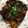 クックX1NWND☆'s cooksnap of when they made 揚げて絡めるだけ簡単あんかけ唐揚げ.