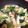 マヨミ's cooksnap of when they made 小松菜とシーフードのあんかけ焼きそば.