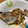 おかすんよ's cooksnap of when they made 簡単！鯵と梅干しの煮付け.