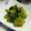 虹色♪︎ちゅーりっぷ's cooksnap of when they made 簡単！小松菜のバター醤油炒め.