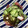 クックDYO7CT☆'s cooksnap of when they made タコと胡瓜の酢の物.