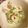 ホワイトあるぱか's cooksnap of when they made 簡単おつまみ＊ちくわのねぎマヨ.