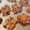 ガットレオ's cooksnap of when they made サクサク♡キヌアとオートミールのクッキー.