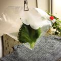 プクル's cooksnap of when they made 裏ワザ！すぐに見つけられる大葉の保存方法.
