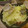 MEGuREEN's cooksnap of when they made あさりとキャベツで簡単酒蒸し.