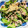 anshin0414's cooksnap of when they made きゅうりとツナの塩昆布和え.
