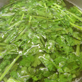 シュフパティシエ's cooksnap of when they made 簡単！KALDIパクチースープ再現.