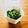ねっちゃんっ's cooksnap of when they made 簡単一品♪セロリの葉の甘味噌胡麻和え.