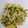 ぽにょ＾ω＾'s cooksnap of when they made きゅうりとみょうがのさっぱり酢の物.