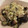 flower♫'s cooksnap of when they made さっぱり旨々！なすと豚ばら肉のねぎ塩だれ.