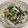 yocchi2109's cooksnap of when they made 小松菜とひじきとツナのサラダ 超簡単！.