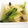メリー・モコ's cooksnap of when they made ☆簡単☆小松菜と油揚げの煮浸し.