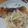 凪なぎ's cooksnap of when they made ホントに簡単～！鮭のパン粉焼き.