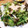τомоко's cooksnap of when they made 水菜と大根のたらこマヨサラダ.