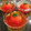 のあころ❛ᴗ❛'s cooksnap of when they made ひんやり冷たい旨だしトマトおでん.
