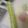 クックZVL9NR☆'s cooksnap of when they made 長持ち！きゃべつ、レタス、セロリ保存方法.