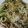 Ｍぱん's cooksnap of when they made 白だし焼きうどん☆簡単和風うどん☆.