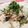 クックE7AY42☆'s cooksnap of when they made 暑い日でもさっぱり＆簡単☆焼き鯖混ぜ寿司.