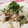 クックE7AY42☆'s cooksnap of when they made 暑い日でもさっぱり＆簡単☆焼き鯖混ぜ寿司.